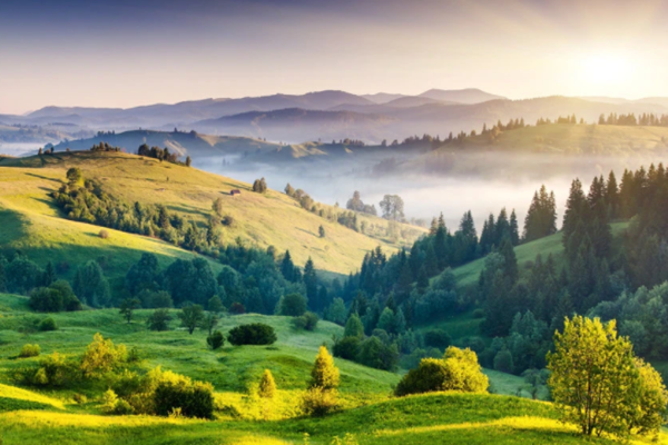 達成“雙碳”目標不只是“減碳”！